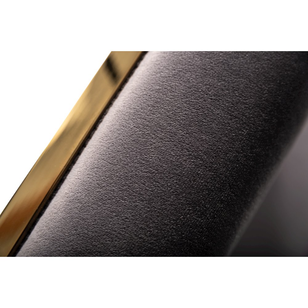 Modrest Reba Modern Grey Velvet & Gold Dining Chair (Set of 2). Picture 6