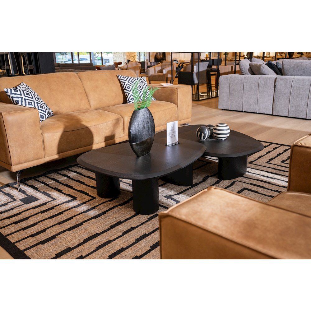 Modrest Summit - Modern Ash Coffee Table Set. Picture 8