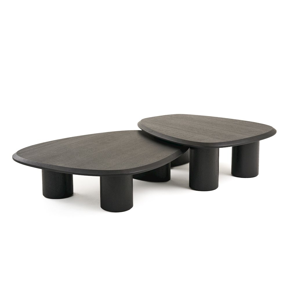 Modrest Summit - Modern Ash Coffee Table Set. Picture 1