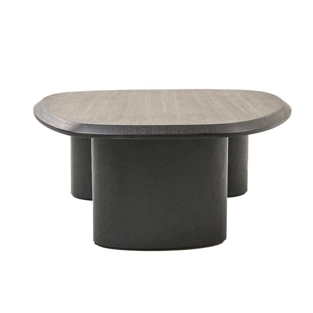 Modrest Summit - Modern Ash Coffee Table Set. Picture 5