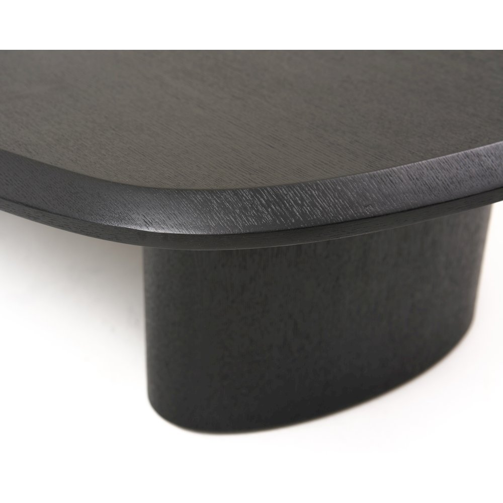 Modrest Summit - Modern Ash Coffee Table Set. Picture 6