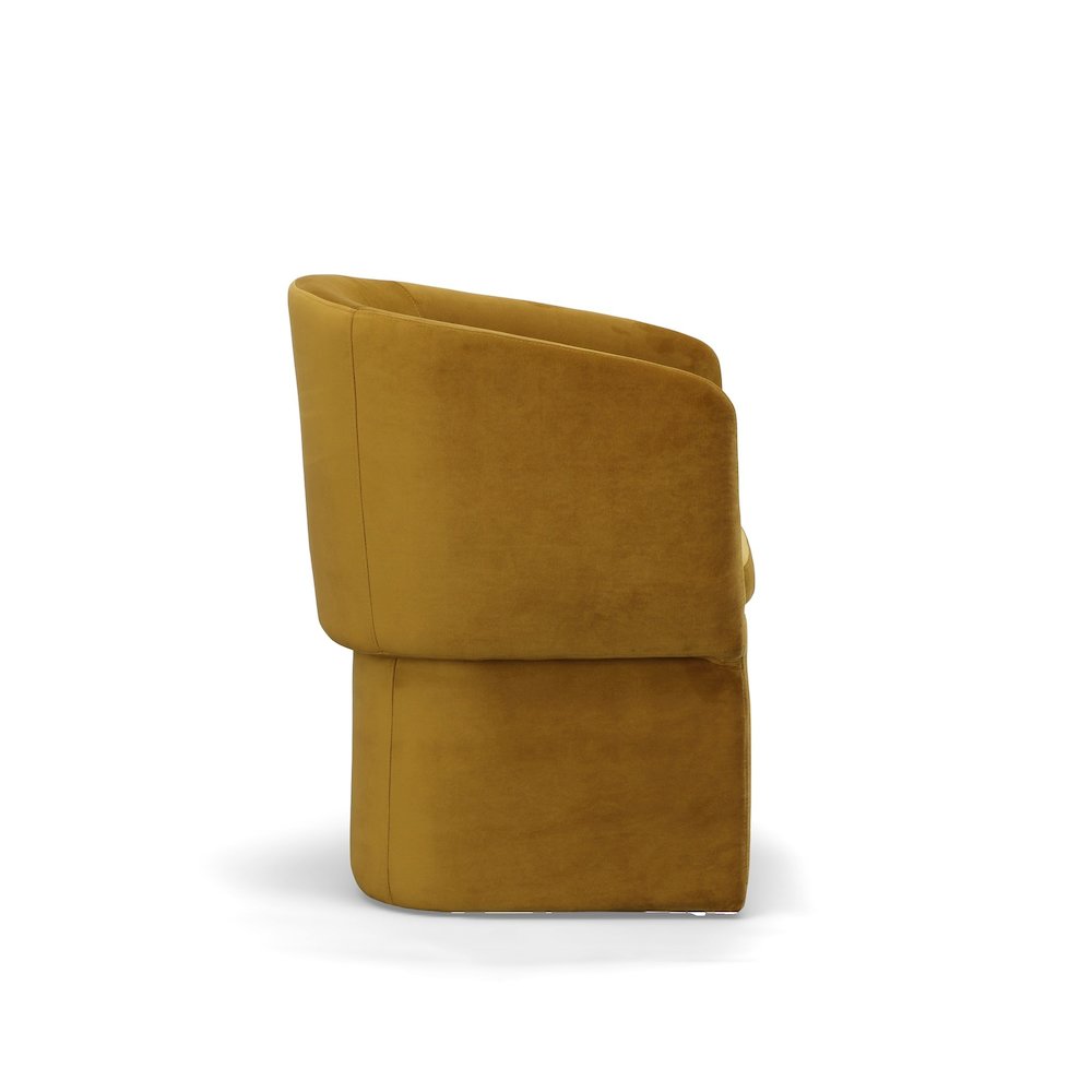 Modrest Vassar - Burnt Umber Velvet Dining Chair. Picture 4