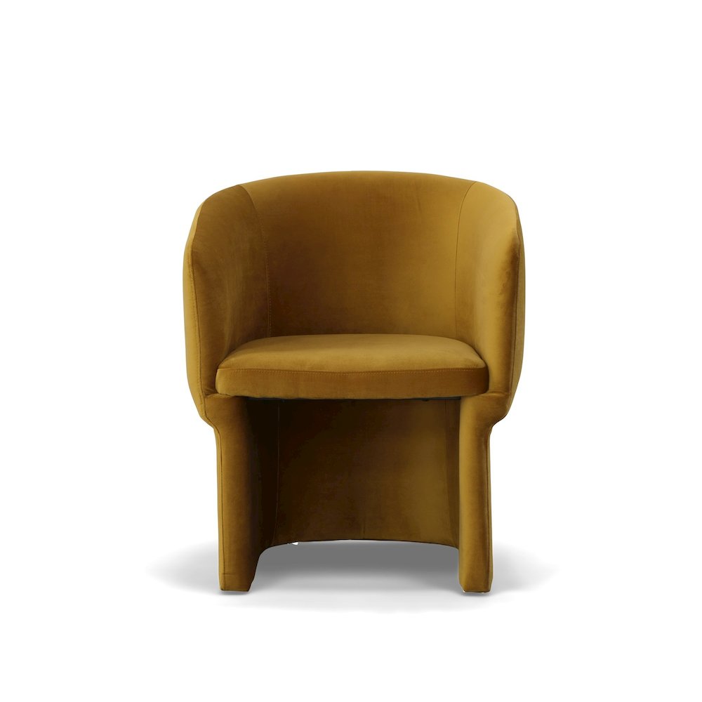 Modrest Vassar - Burnt Umber Velvet Dining Chair. Picture 2