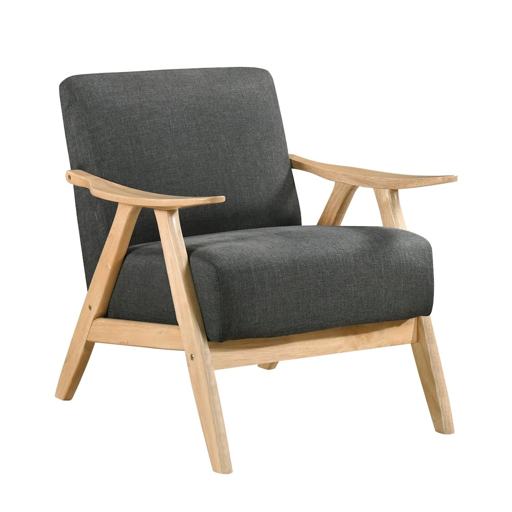 Lexicon Damala Textured Fabric Accent Chair in Dark Gray. Picture 1