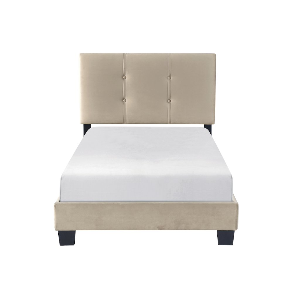 Newberry Velvet Twin Platform Bed in Light Brown. Picture 4