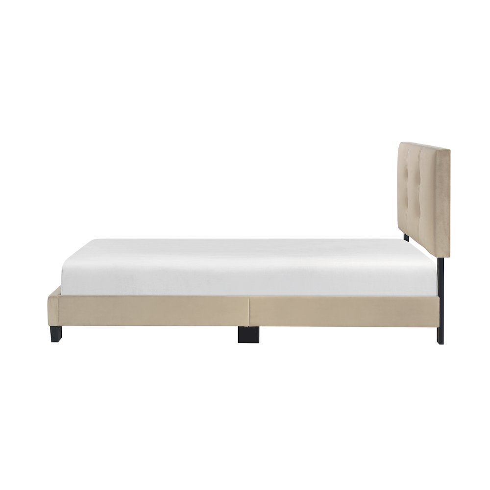 Newberry Velvet Twin Platform Bed in Light Brown. Picture 7