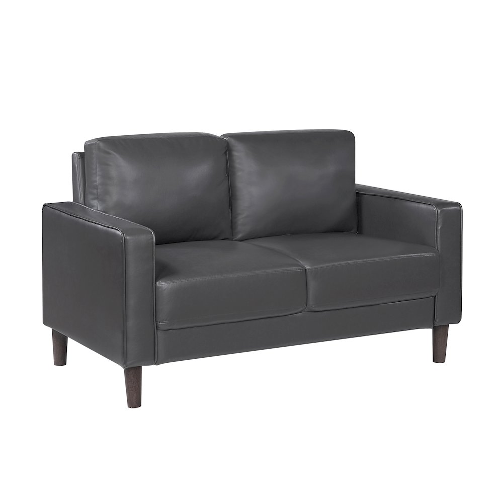 Lexicon Malcolm Faux leather Love Seat in Dark Gray. Picture 1
