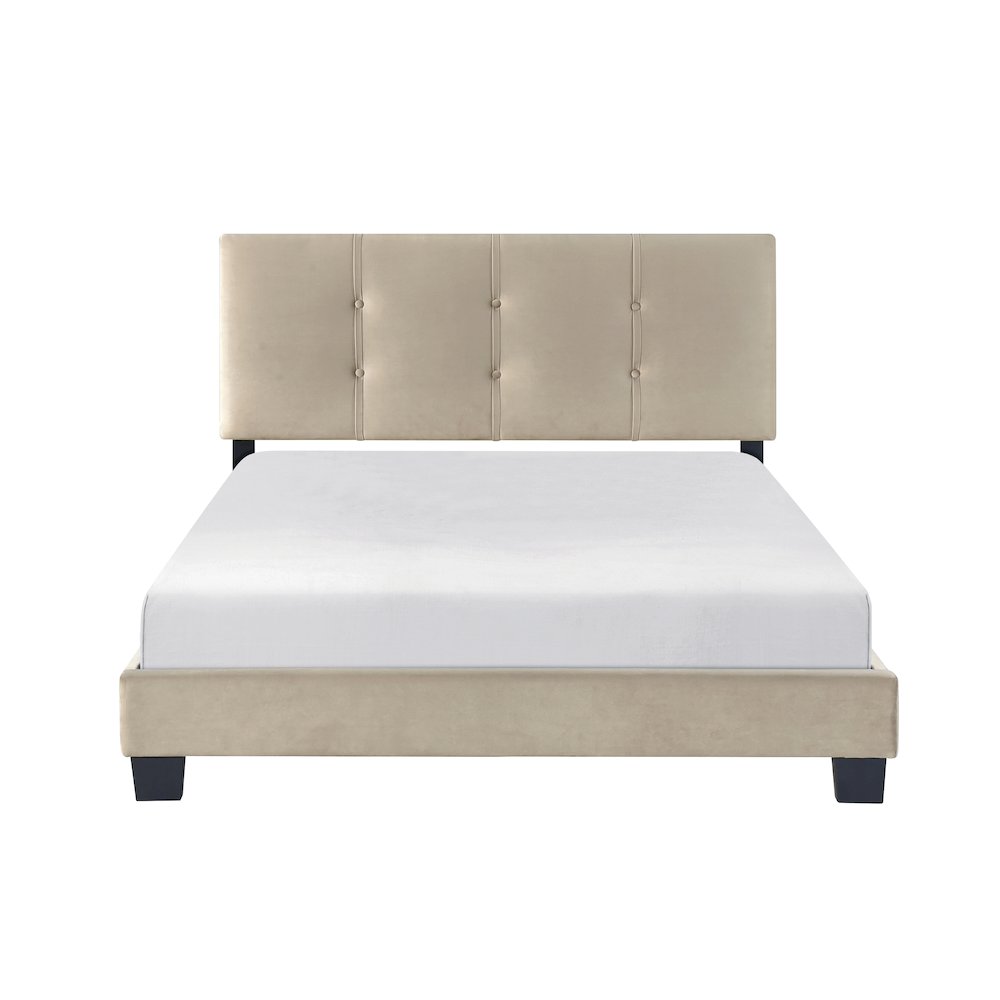 Newberry Velvet Full Platform Bed in Light Brown. Picture 4