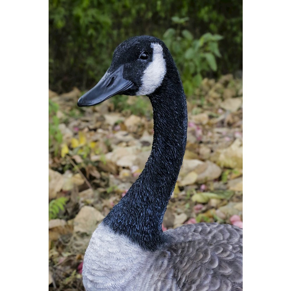 Standing Canada Goose Statue. Picture 7