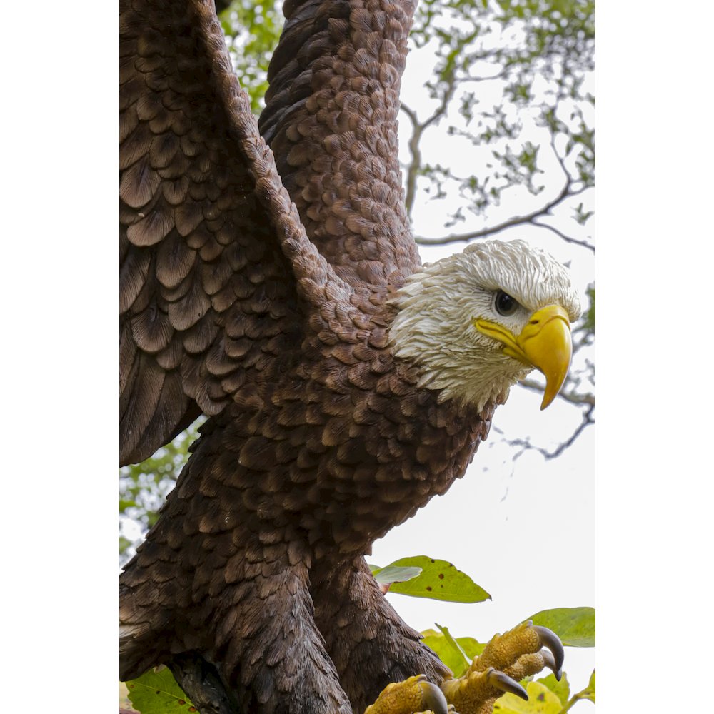 Large Flying Eagle Statue. Picture 6