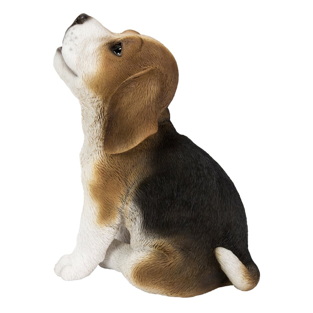 Beagle Puppy Howling. Picture 6