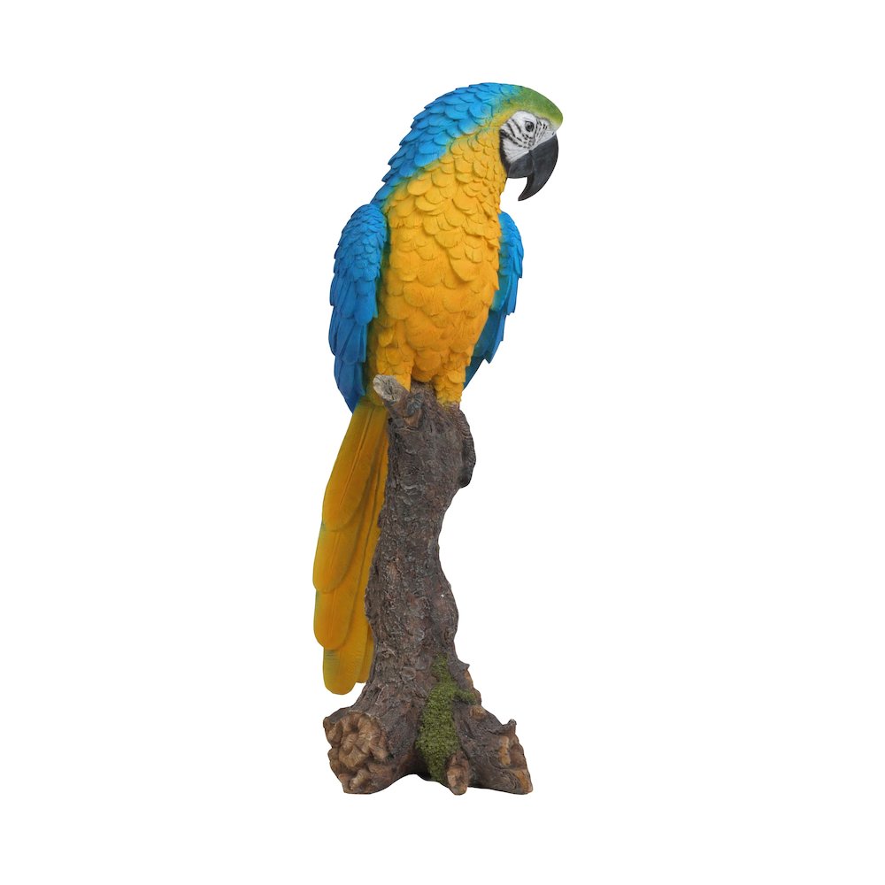 Blue & Yellow Parrot On Branch Statue. Picture 5
