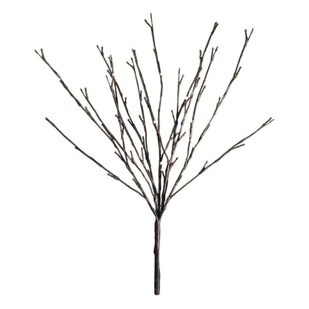 Willow Branch. Picture 1