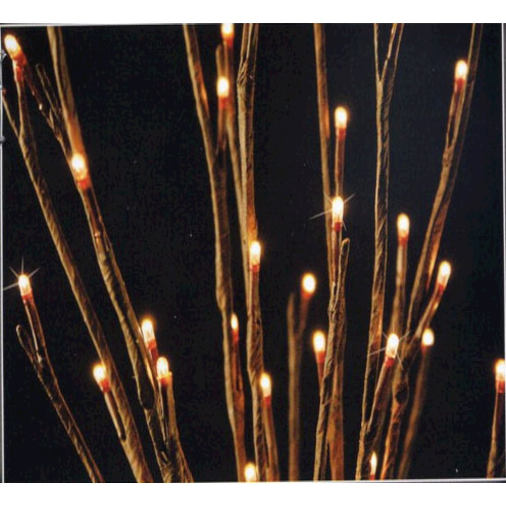 Willow Branch. Picture 2