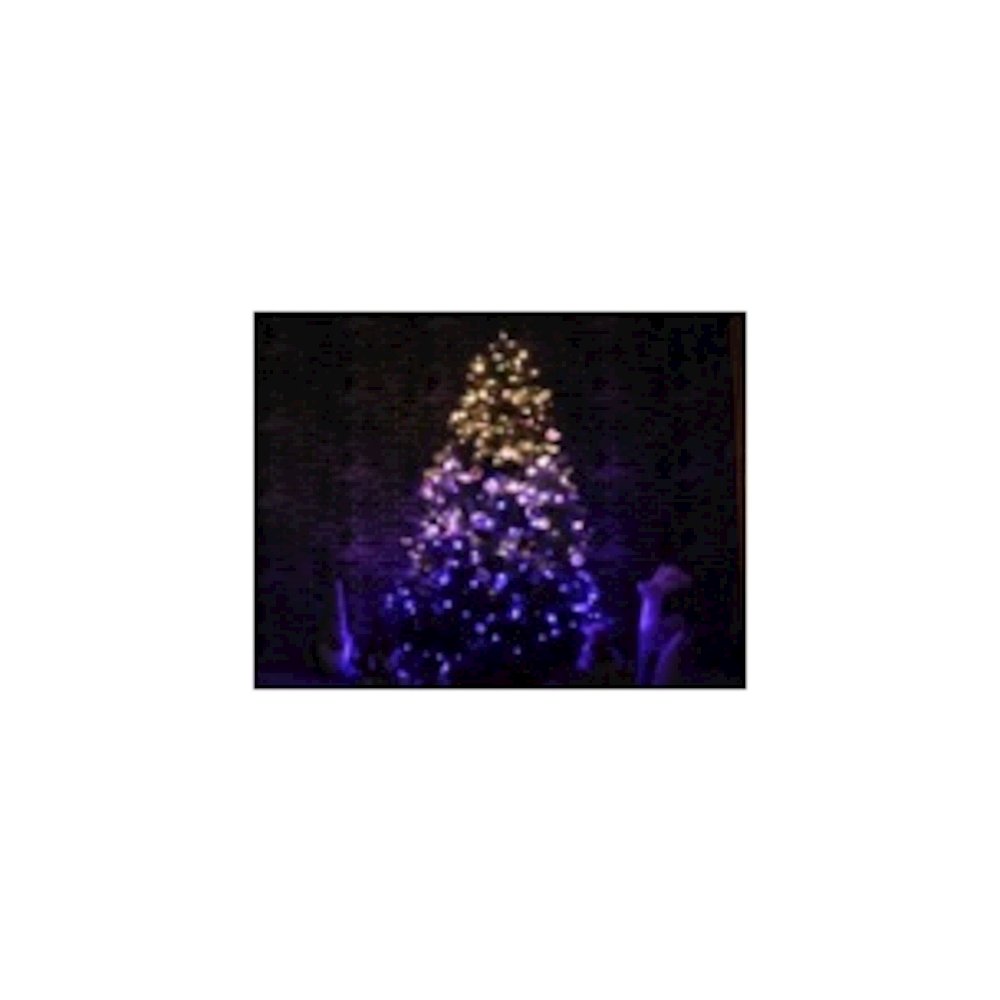 Multi-Function Timed String Lights - 100 RGB LEDs with Remote. Picture 3