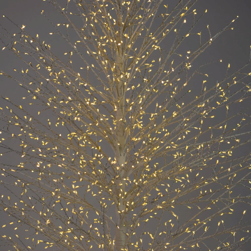 LED White Tree 180Cm. Picture 6