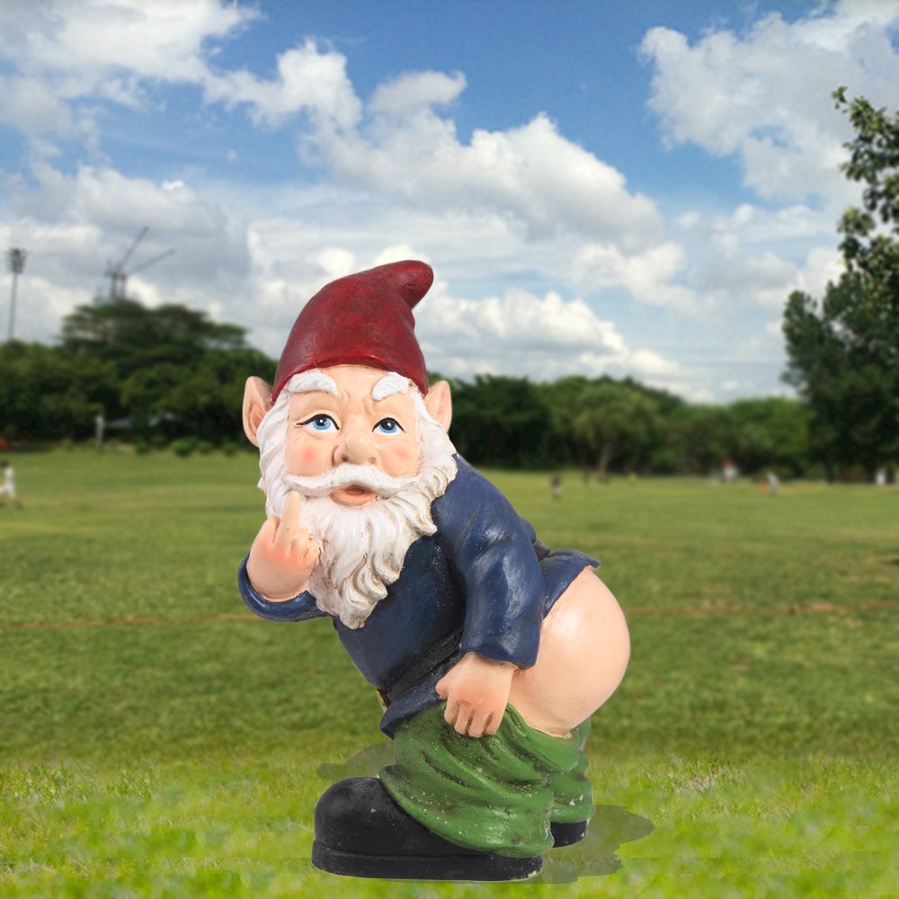 Gnome Mooning. Picture 5