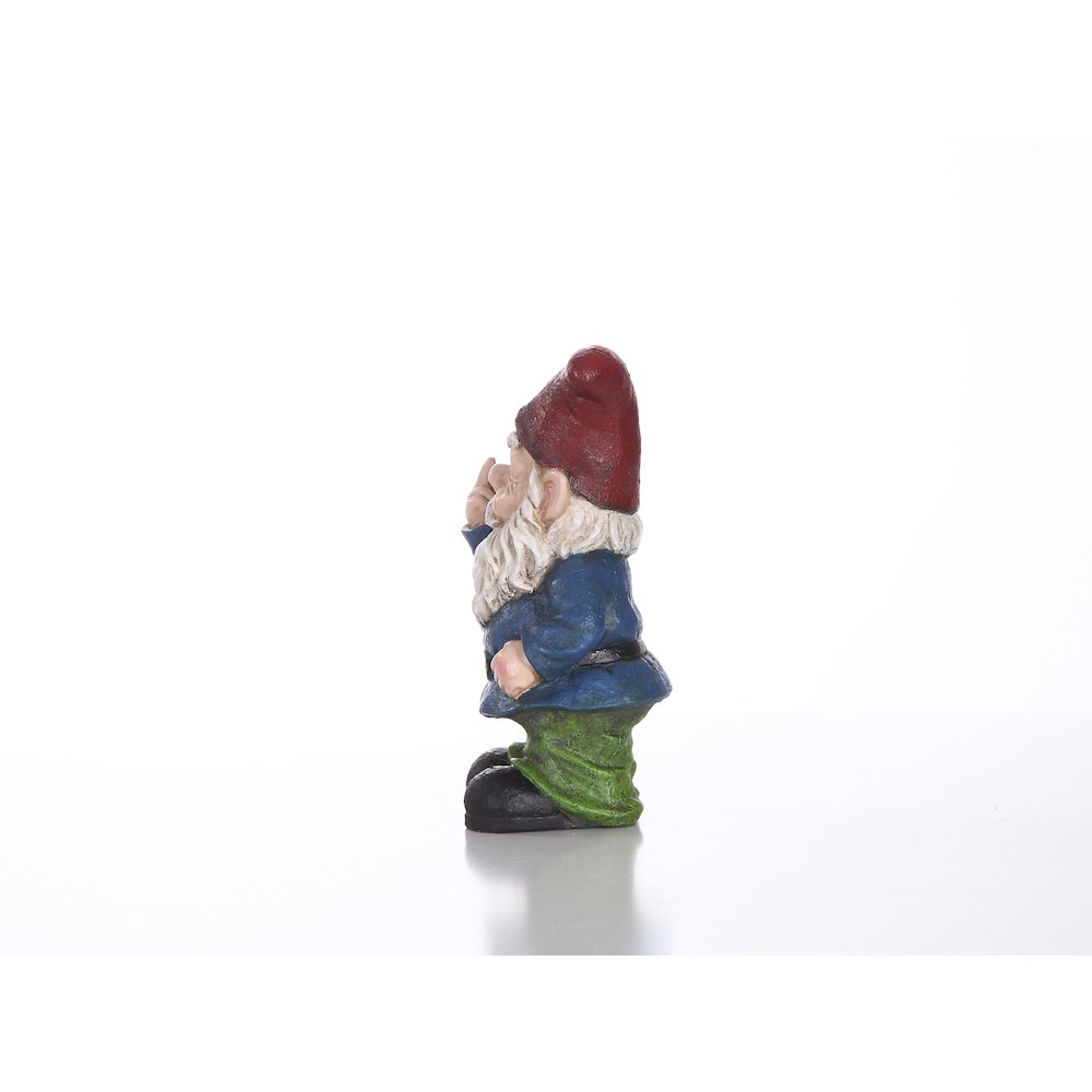 Winking Gnome. Picture 6