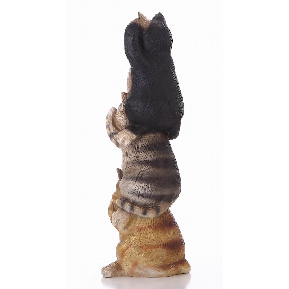 Stacked Cats - Hear/See/Speak No Evil. Picture 1
