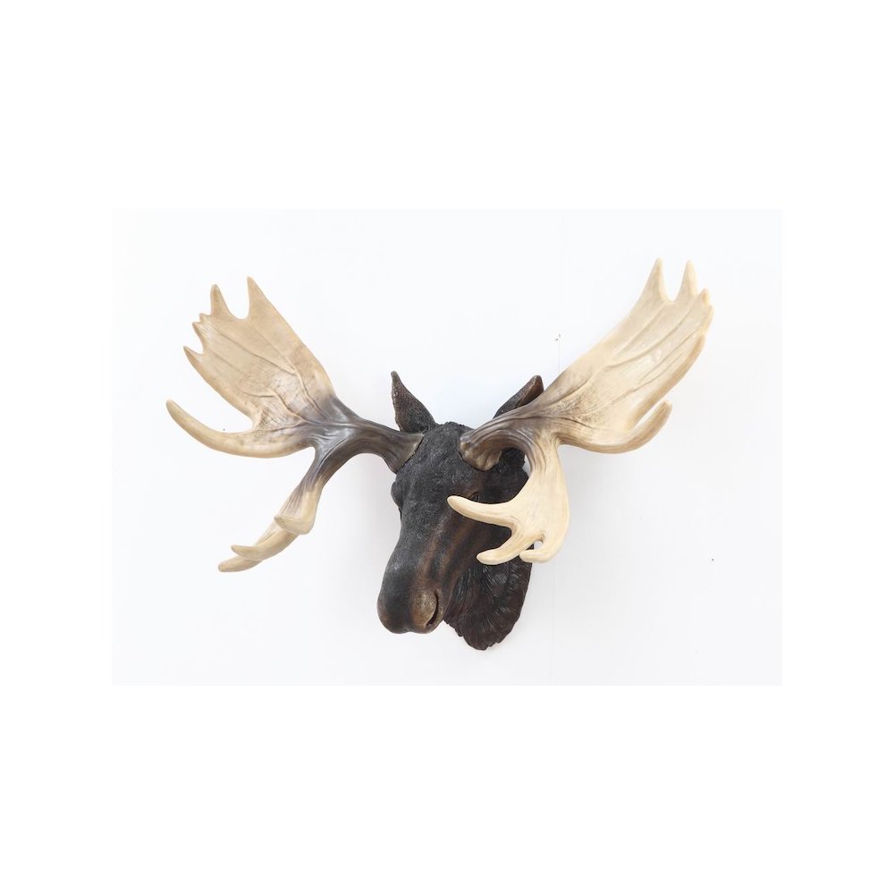 Moose Head Wall Mount. Picture 2
