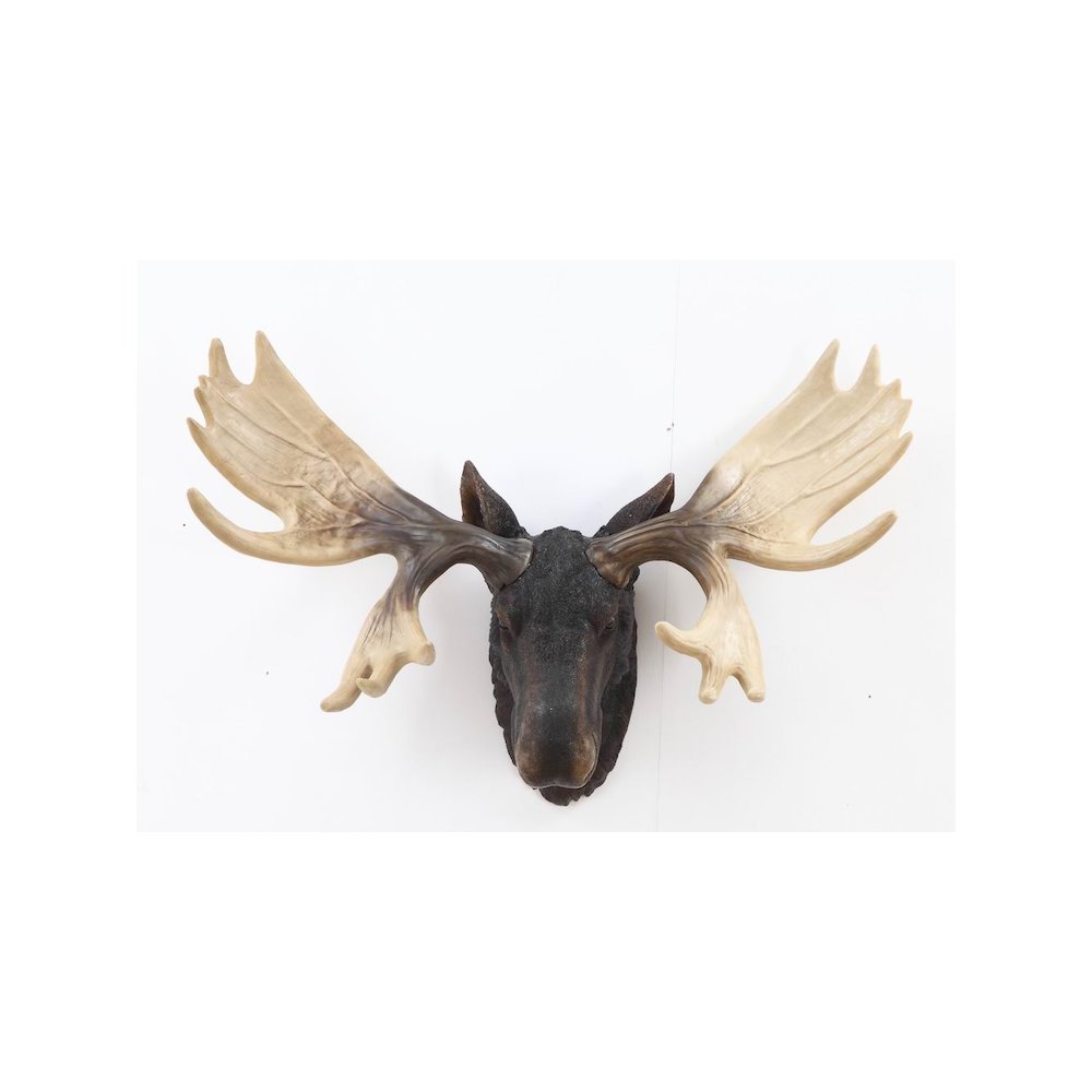 Moose Head Wall Mount. Picture 1