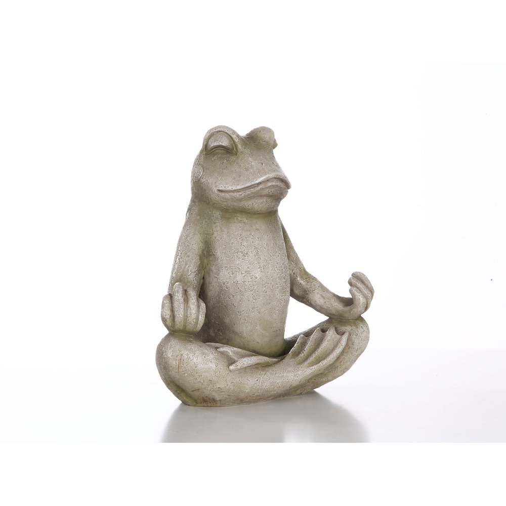 Frog Sitting In Lotus Position. Picture 3