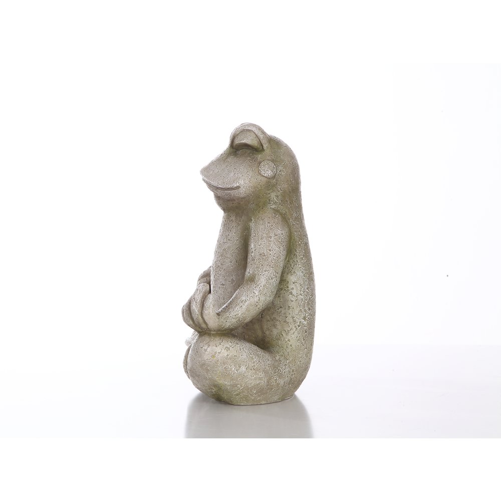 Frog Sitting In Lotus Position. Picture 8