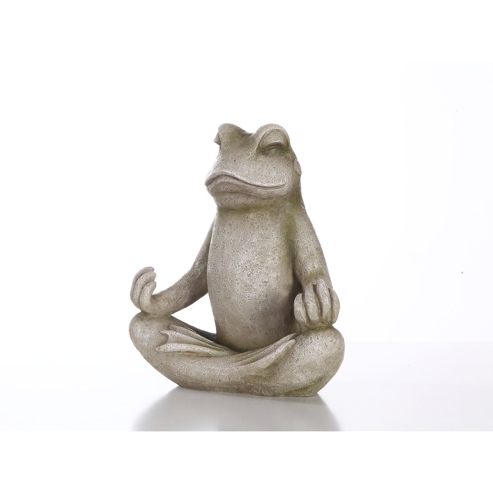 Frog Sitting In Lotus Position. Picture 1