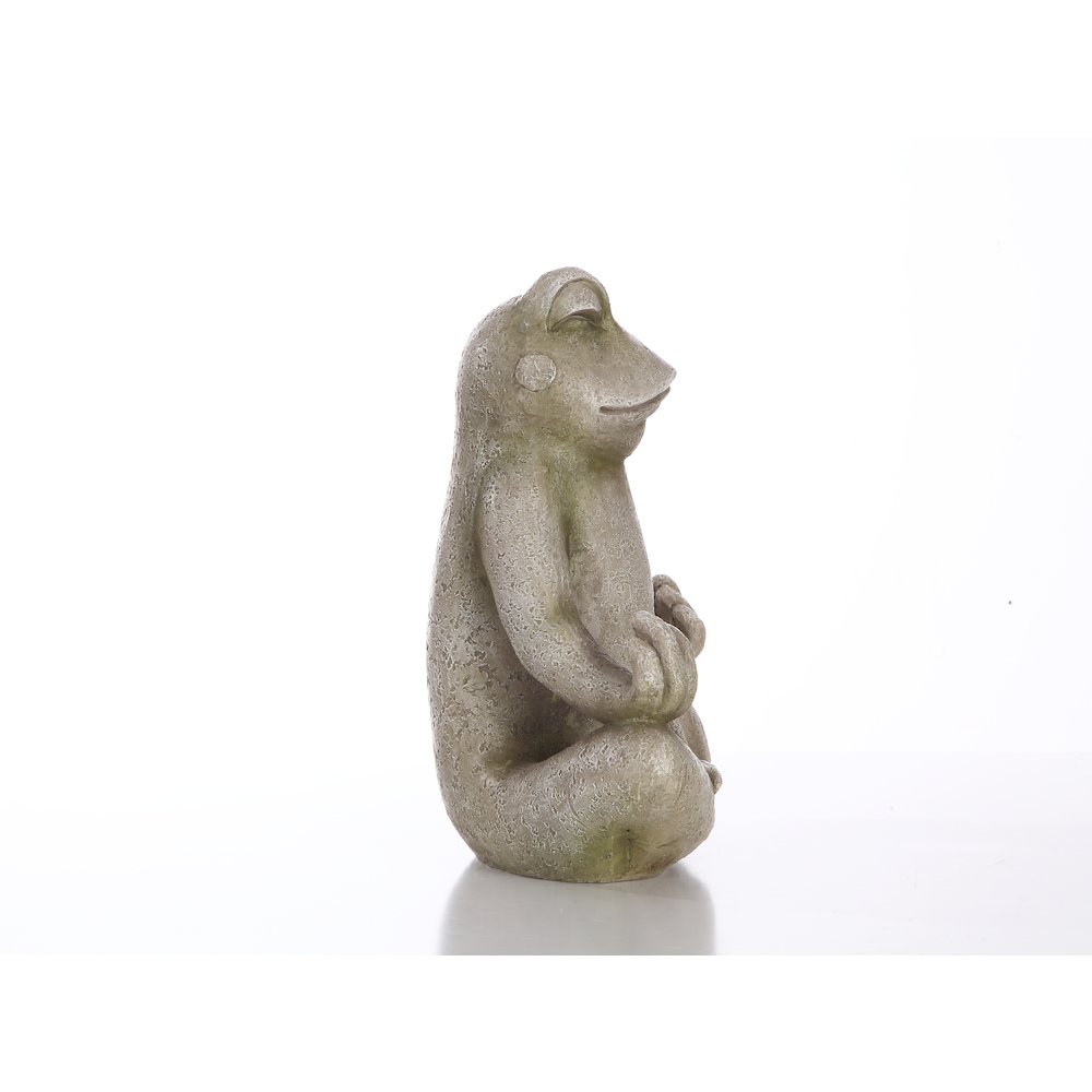 Frog Sitting In Lotus Position. Picture 7