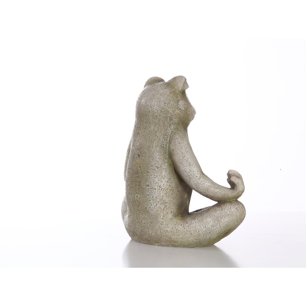 Frog Sitting In Lotus Position. Picture 5