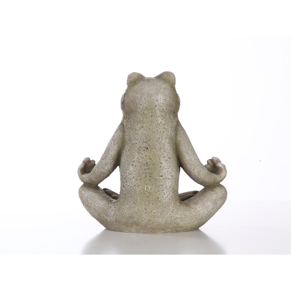 Frog Sitting In Lotus Position. Picture 6