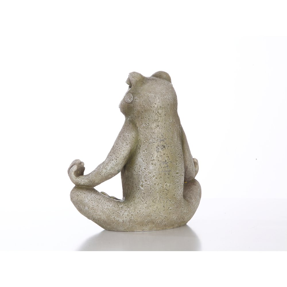 Frog Sitting In Lotus Position. Picture 4