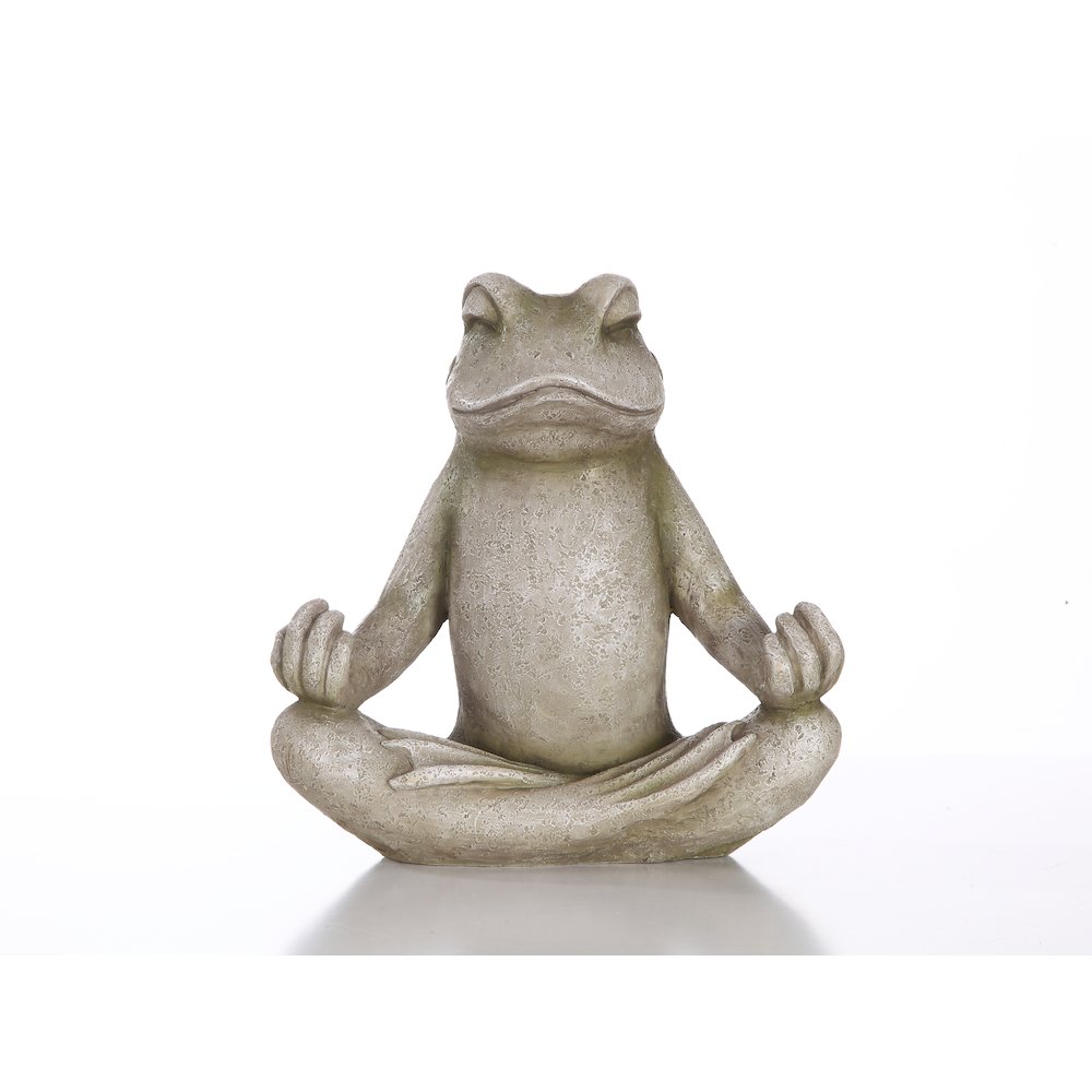 Frog Sitting In Lotus Position. Picture 2