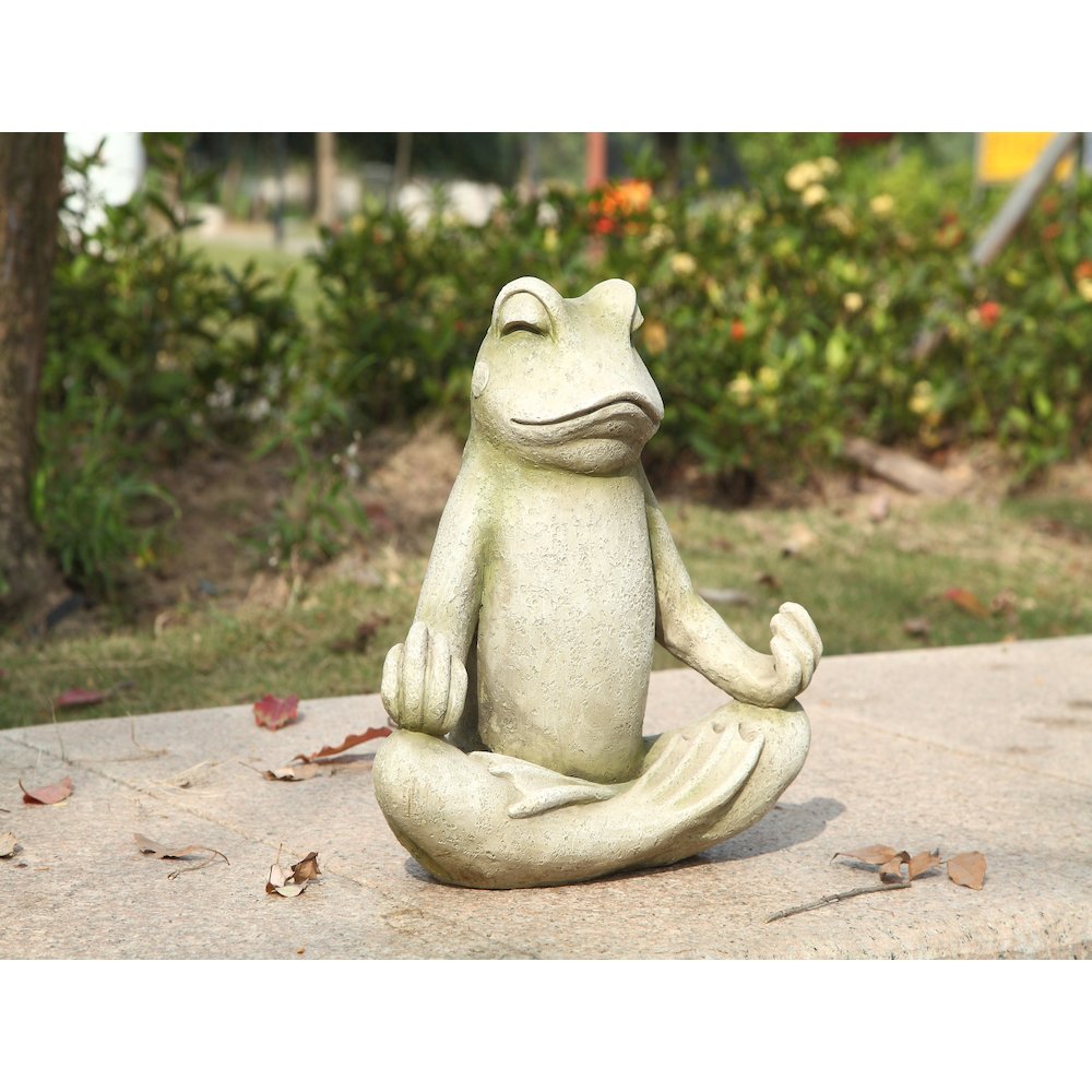 Frog Sitting In Lotus Position. Picture 9
