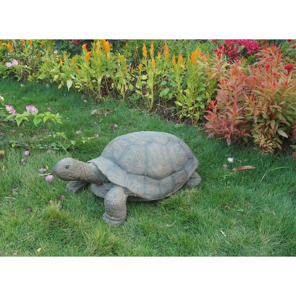 Large Turtle. Picture 1