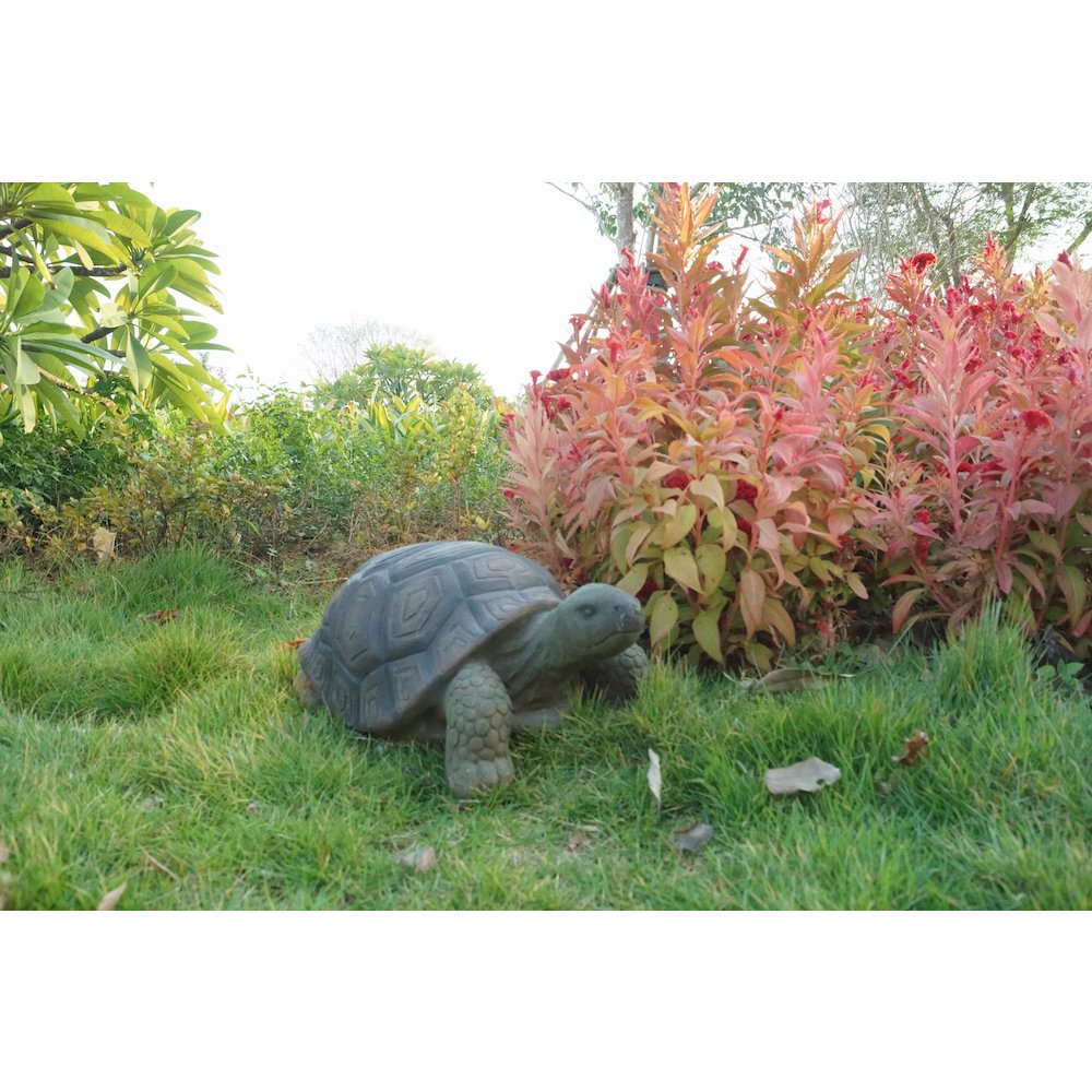 Turtle 21 Inch. Picture 4
