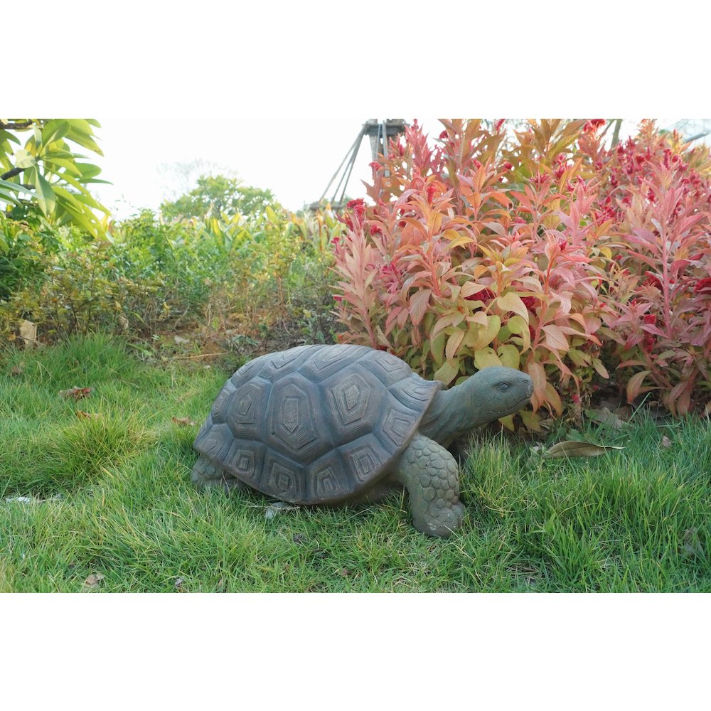 Turtle 21 Inch. Picture 2