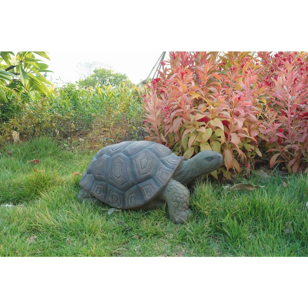 Turtle 21 Inch. Picture 5