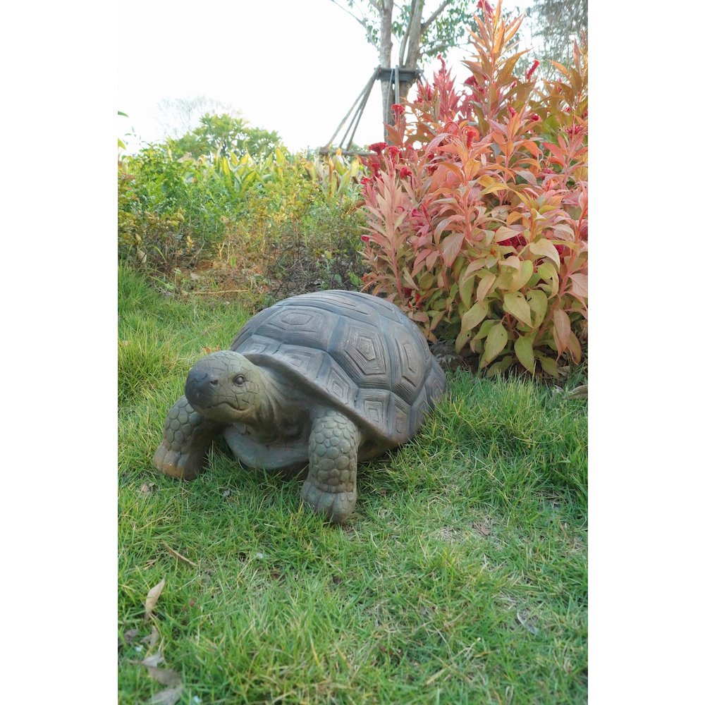 Turtle 21 Inch. Picture 6
