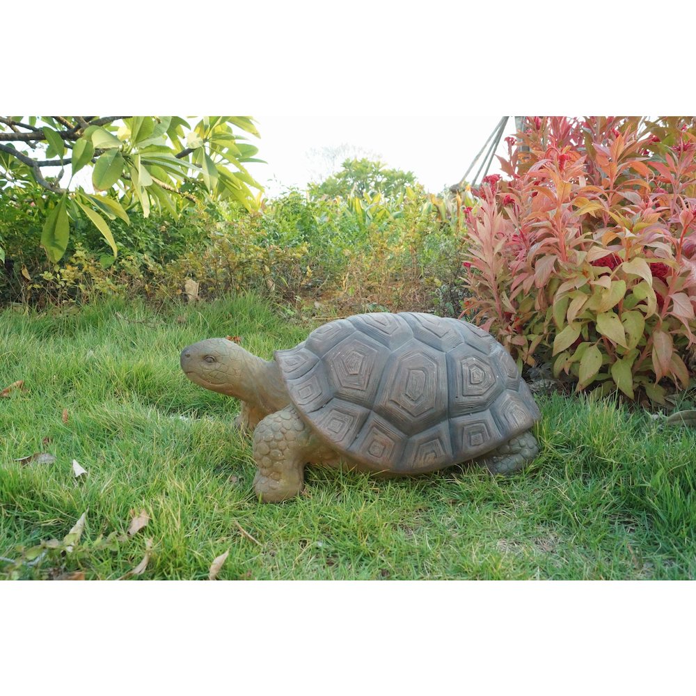 Turtle 21 Inch. Picture 3