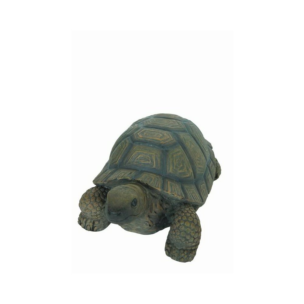 Turtle 10 Inch. Picture 1
