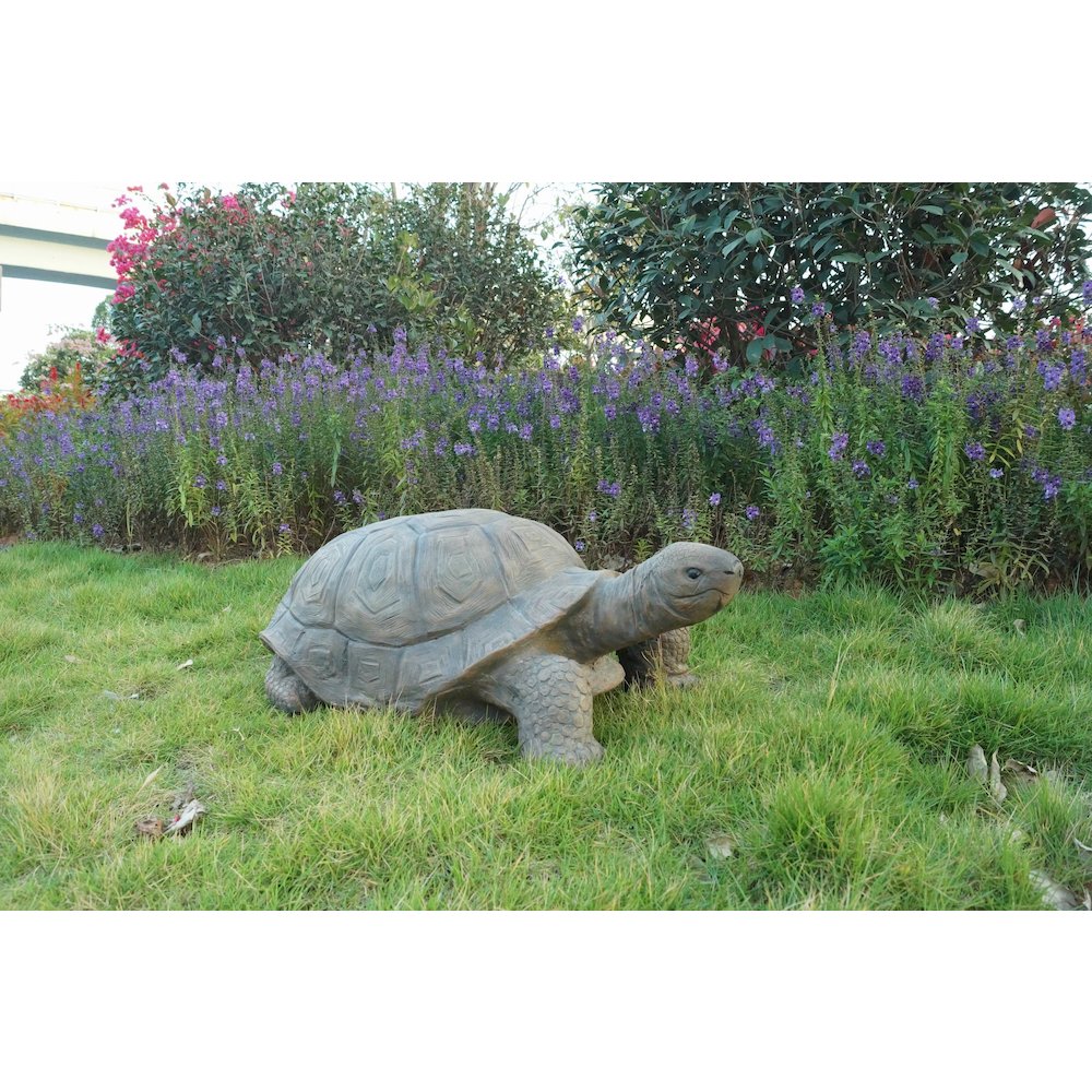 Large Turtle. Picture 3