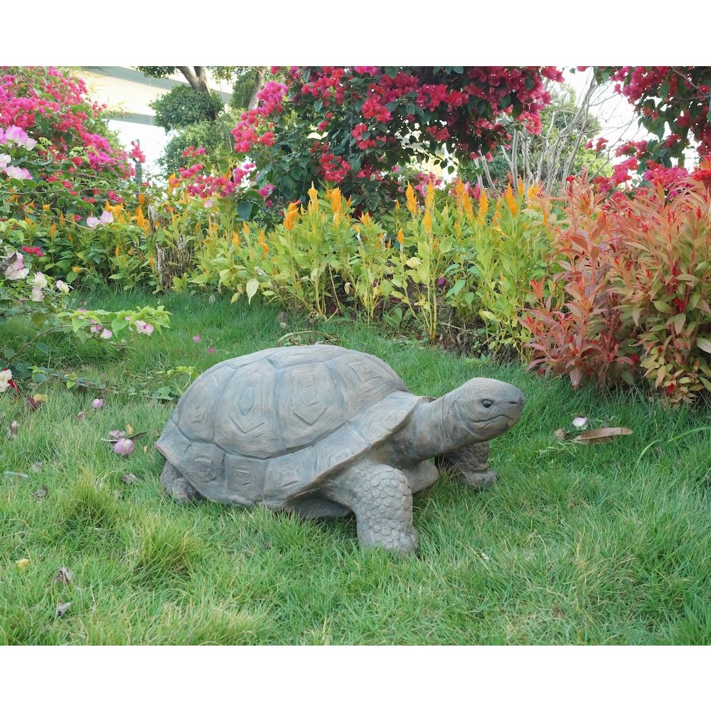 Large Turtle. Picture 4