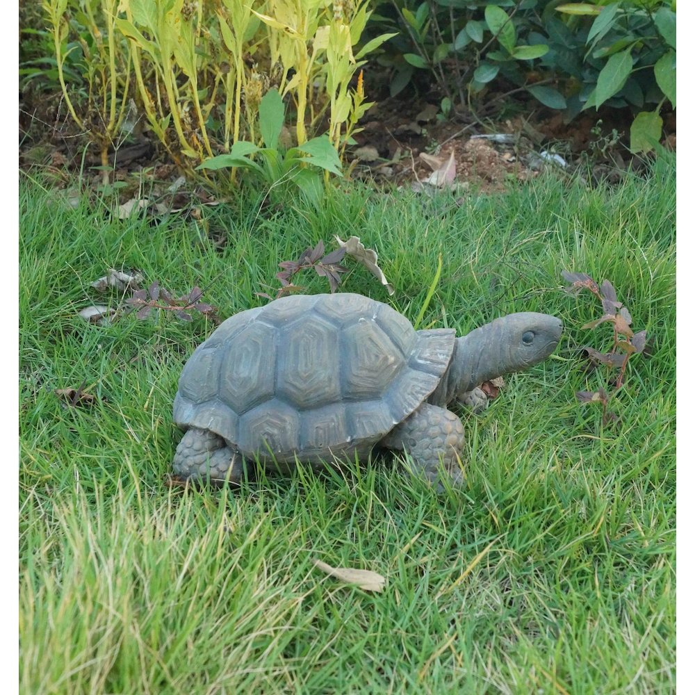 Turtle 10 Inch. Picture 2