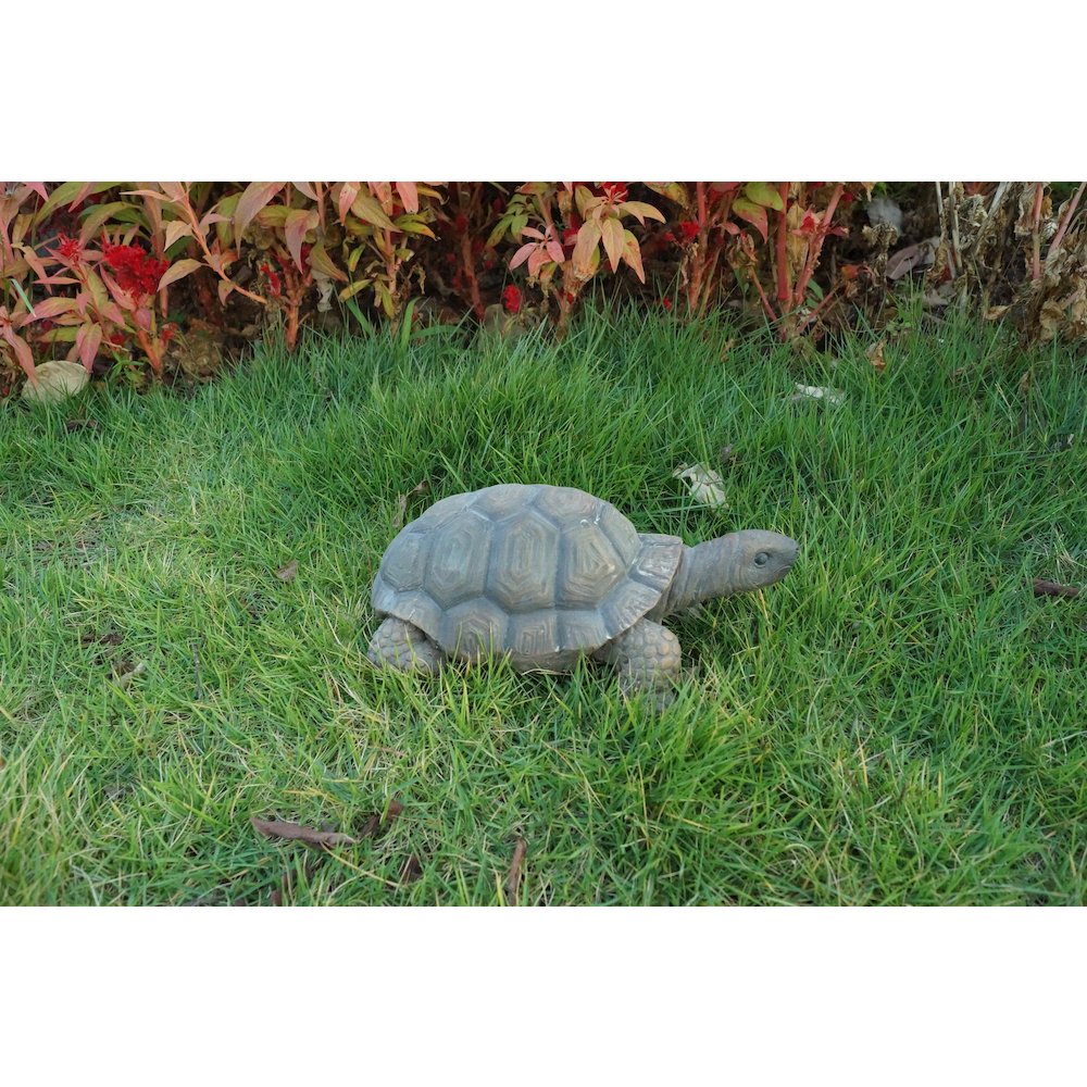 Turtle 10 Inch. Picture 3