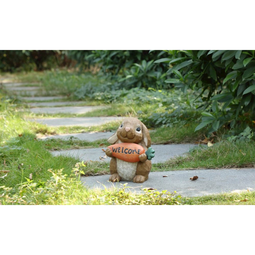 Rabbit Holdng Carrot Welcome Sign. Picture 7