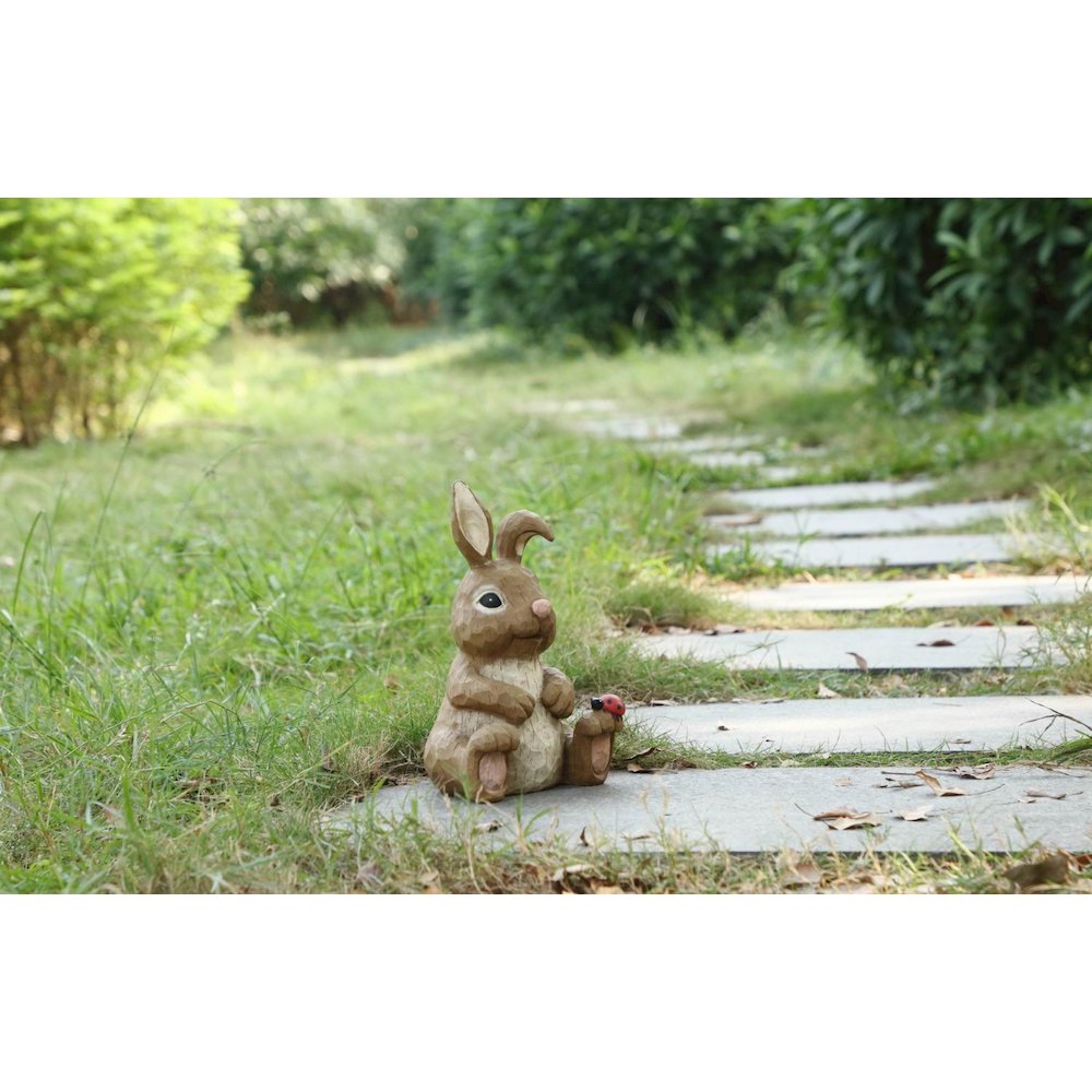 Rabbit Sitting with Ladybug. Picture 6
