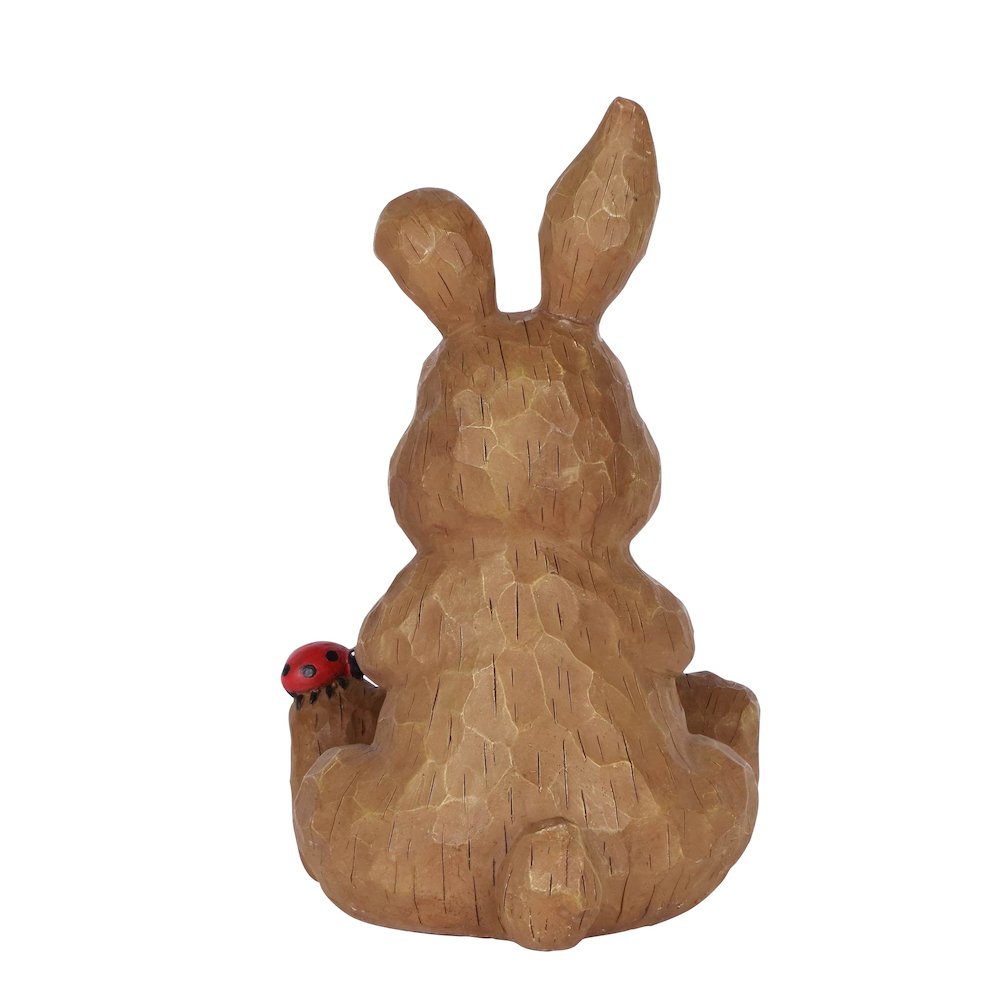 Rabbit Sitting with Ladybug. Picture 4