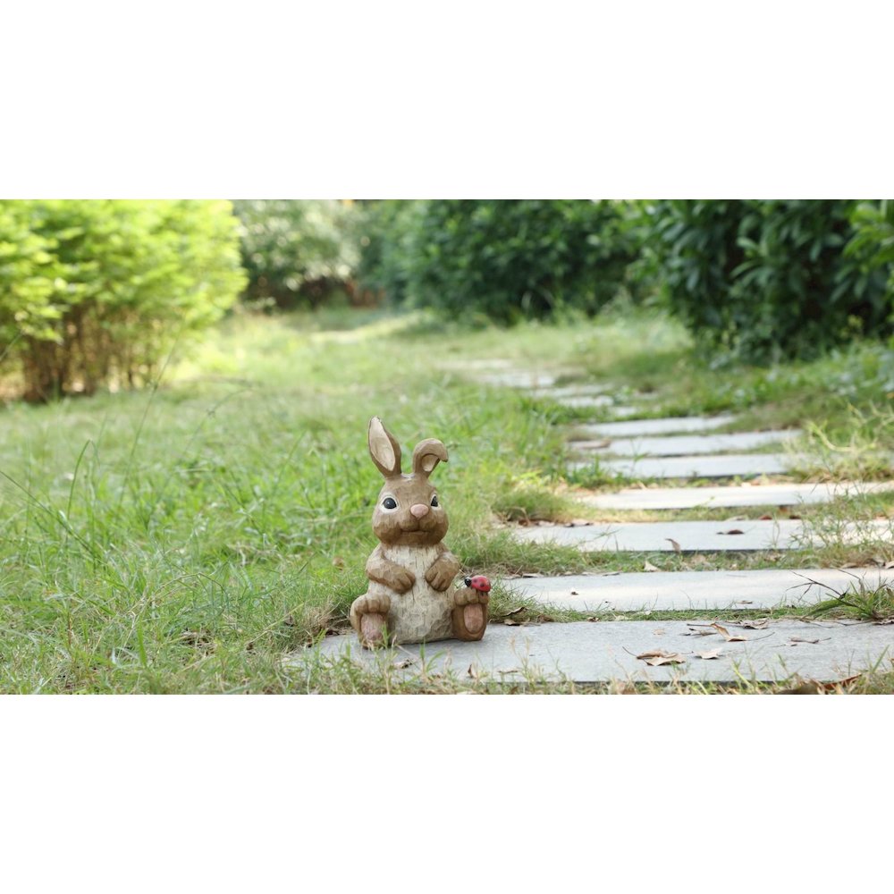 Rabbit Sitting with Ladybug. Picture 7