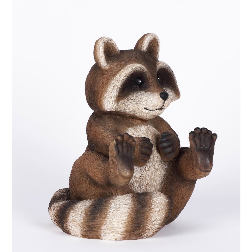 Racoon Sitting. Picture 1